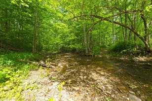 9777 Old Delaware Rd, Mount Vernon, OH 43050 - Photo 39