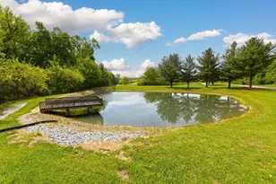 9777 Old Delaware Rd, Mount Vernon, OH 43050 - Photo 81