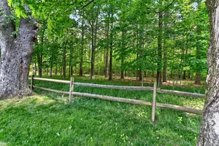 4263 Pine View Dr, Galena, OH 43021 - Photo 51