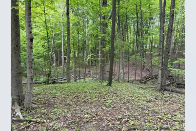 741 N 3 Bs and K Road, Sunbury, OH 43074 - Photo 5