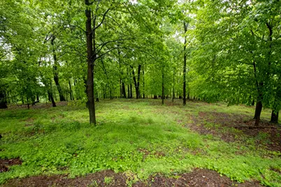 78 Ridgeview Drive #Lots 78-79-80, Loudonville, OH 44842 - Photo 29