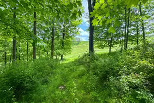 2250 Indian Camp Run Rd, New Concord, OH 43762 - Photo 45