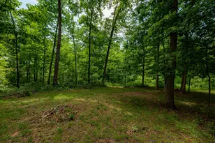 462 Hartsook Road Rd, Vinton, OH 45686 - Photo 57