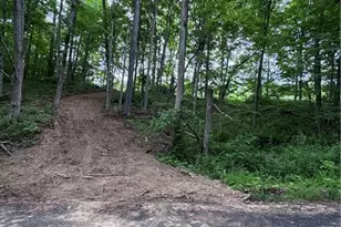 10+- Walker Hill Rd, Stockport, OH 43787 - Photo 1