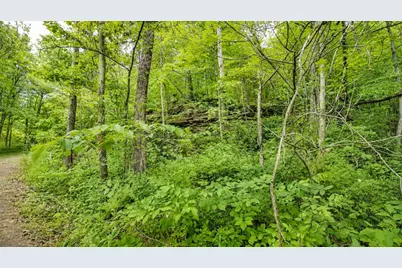 3368 Lowe Lane, McConnelsville, OH 43756 - Photo 113