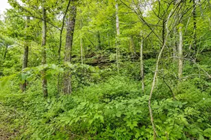 3368 Lowe Ln, McConnelsville, OH 43756 - Photo 113