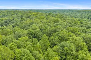 12710 Jack Run Rd, Rockbridge, OH 43149 - Photo 39