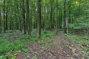 7207 Coonpath Rd NW, Carroll, OH 43112 - Photo 105