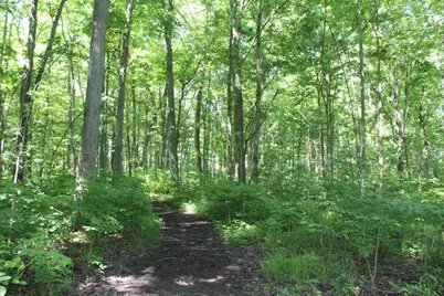 7560 Township Road 76 Road, Bettsville, OH 44815 - Photo 53