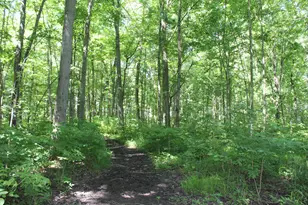 7560 Township Road 76 Rd, Bettsville, OH 44815 - Photo 53