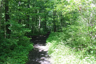 7560 Township Road 76 Road, Bettsville, OH 44815 - Photo 51
