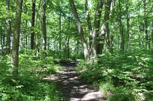 7560 Township Road 76 Rd, Bettsville, OH 44815 - Photo 55