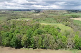 3870 Vanwinkle Rd, Frazeysburg, OH 43822 - Photo 7