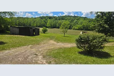 7455 Old Grade Road, Chesterhill, OH 43728 - Photo 15