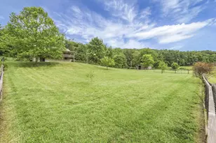 7455 Old Grade Rd, Chesterhill, OH 43728 - Photo 63