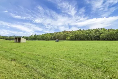 7455 Old Grade Road, Chesterhill, OH 43728 - Photo 67
