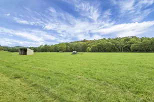 7455 Old Grade Rd, Chesterhill, OH 43728 - Photo 67