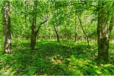 11775 Woodtown Road, Galena, OH 43021 - Photo 19