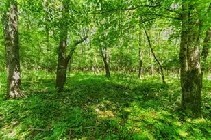 11775 Woodtown Rd, Galena, OH 43021 - Photo 19