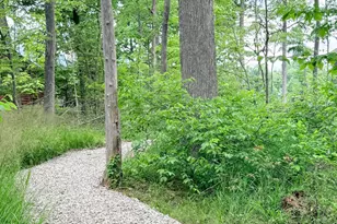 7326 State Route 19, Mount Gilead, OH 43338 - Photo 15