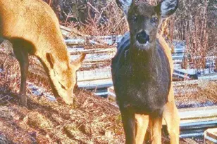 8080 Clearport Rd SW, Lancaster, OH 43130 - Photo 75