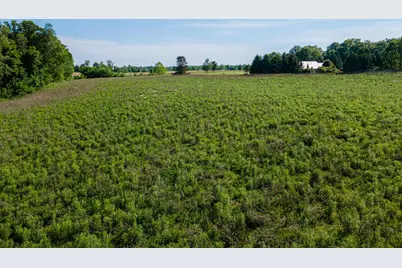 5329 Township Road 115, Mount Gilead, OH 43338 - Photo 51