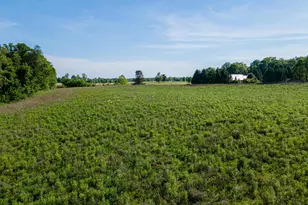 5329 Township Road 115, Mount Gilead, OH 43338 - Photo 51