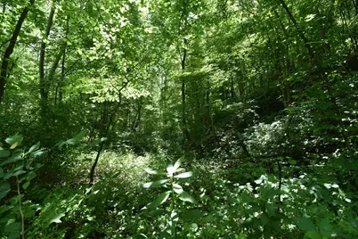 23769 State Route 327, Laurelville, OH 43135 - Photo 15