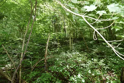 23769 State Route 327, Laurelville, OH 43135 - Photo 17