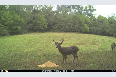 12680 Old Riley, Frazeysburg, OH 43822 - Photo 101