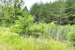 15351 Berry Rd, Logan, OH 43138 - Photo 39