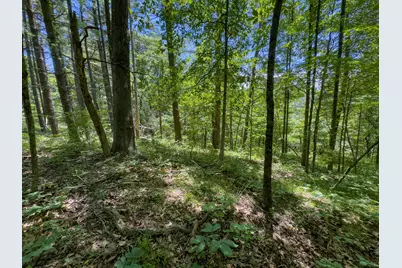 0 Long Hollow Road, Pomeroy, OH 45769 - Photo 15