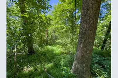 0 Long Hollow Road, Pomeroy, OH 45769 - Photo 13