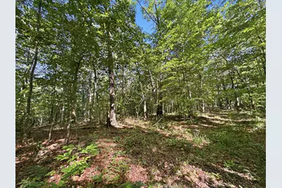 0 State Route 140, South Webster, OH 45682 - Photo 23