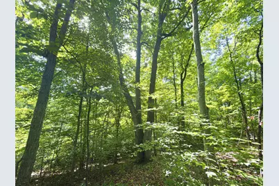 0 State Route 140, South Webster, OH 45682 - Photo 25