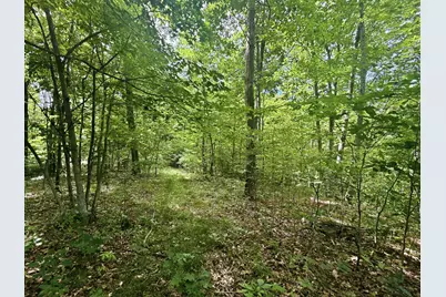 0 State Route 140, South Webster, OH 45682 - Photo 27