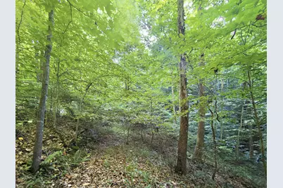 0 State Route 140, South Webster, OH 45682 - Photo 21