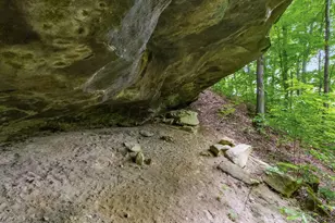 2518 State Route 376, Stockport, OH 43787 - Photo 21