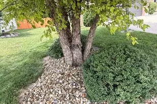 7045 Sherbrook Dr, Westerville, OH 43082 - Photo 5