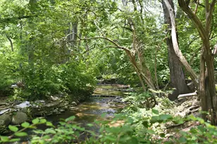 4231 Hertford Ln, Dublin, OH 43017 - Photo 55
