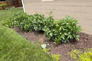 372 E Lincoln Ave, Columbus, OH 43214 - Photo 39