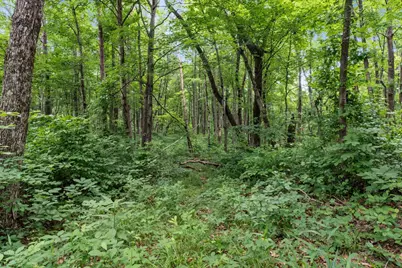 24630 Turner Road, South Bloomingville, OH 43152 - Photo 23