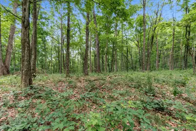 24630 Turner Road, South Bloomingville, OH 43152 - Photo 39
