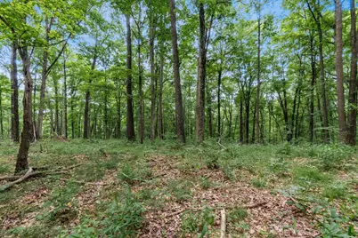 24630 Turner Road, South Bloomingville, OH 43152 - Photo 37