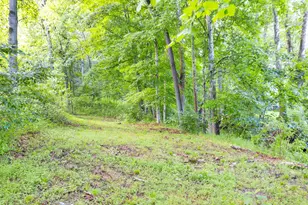 22529 Conrad Rd, South Bloomingville, OH 43152 - Photo 45