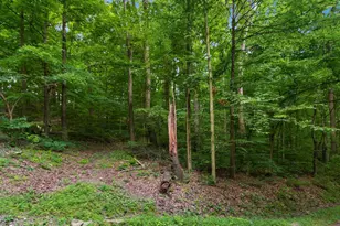 72845 Old Twenty One Rd, Kimbolton, OH 43749 - Photo 33