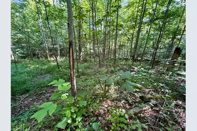 0 State Route 222, Felicity, OH 45120 - Photo 25