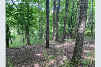 122 Orchard Wood Path, Granville, OH 43023 - Photo 5