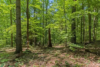 18862 Indigo Lane, Rockbridge, OH 43149 - Photo 19