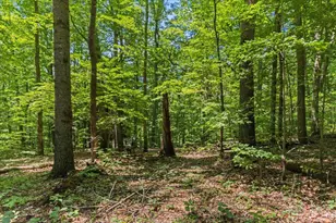 18862 Indigo Ln, Rockbridge, OH 43149 - Photo 19